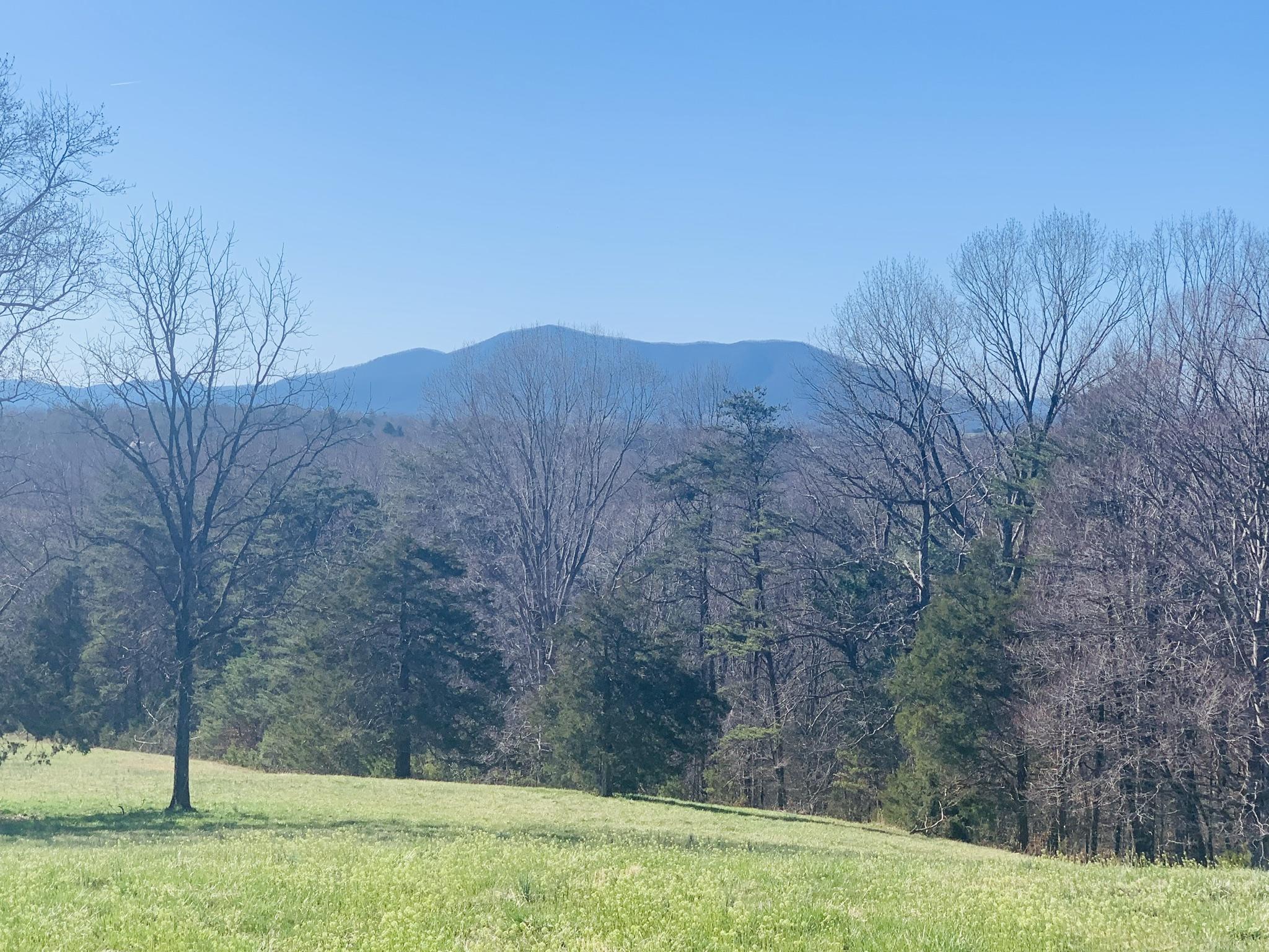 0 Iron Ridge Road Rocky Mount, VA 24151 - Photo 10 of 10 a view of a yard