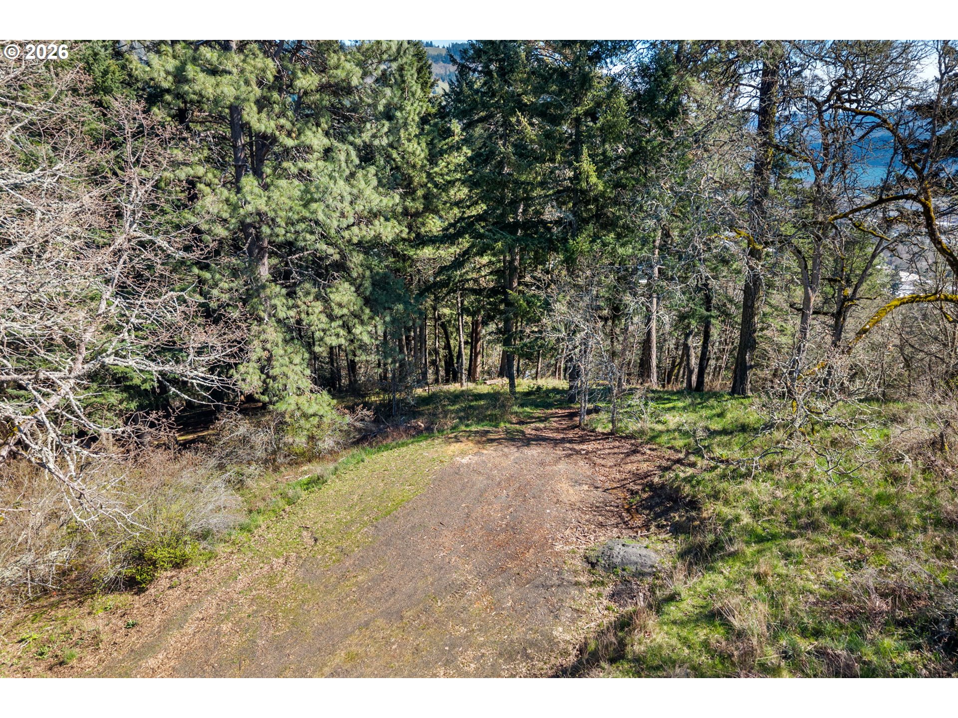 735 Northwest Strawberry Mountain Road White Salmon, WA 98672 - Photo 11 of 25 a row of trees with wooden fence