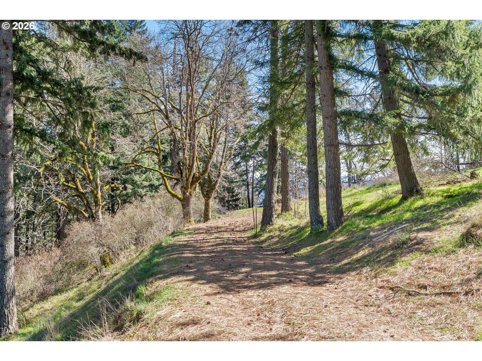 735 Northwest Strawberry Mountain Road White Salmon, WA 98672 - Photo 13 of 25 a view of a yard with plants and trees