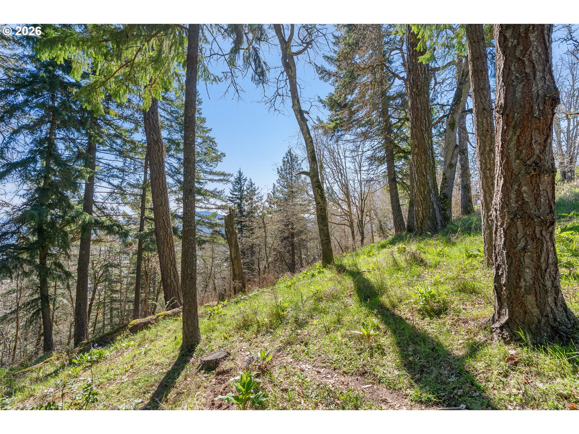 735 Northwest Strawberry Mountain Road White Salmon, WA 98672 - Photo 14 of 25 a view of backyard with green space