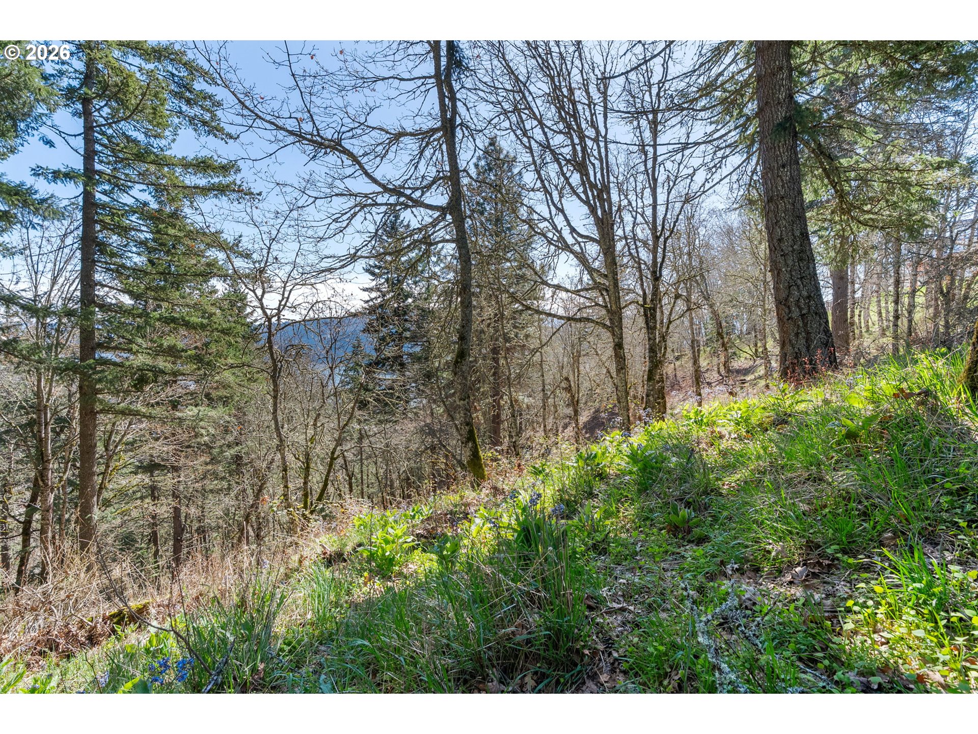735 Northwest Strawberry Mountain Road White Salmon, WA 98672 - Photo 17 of 25 a view of backyard with green space