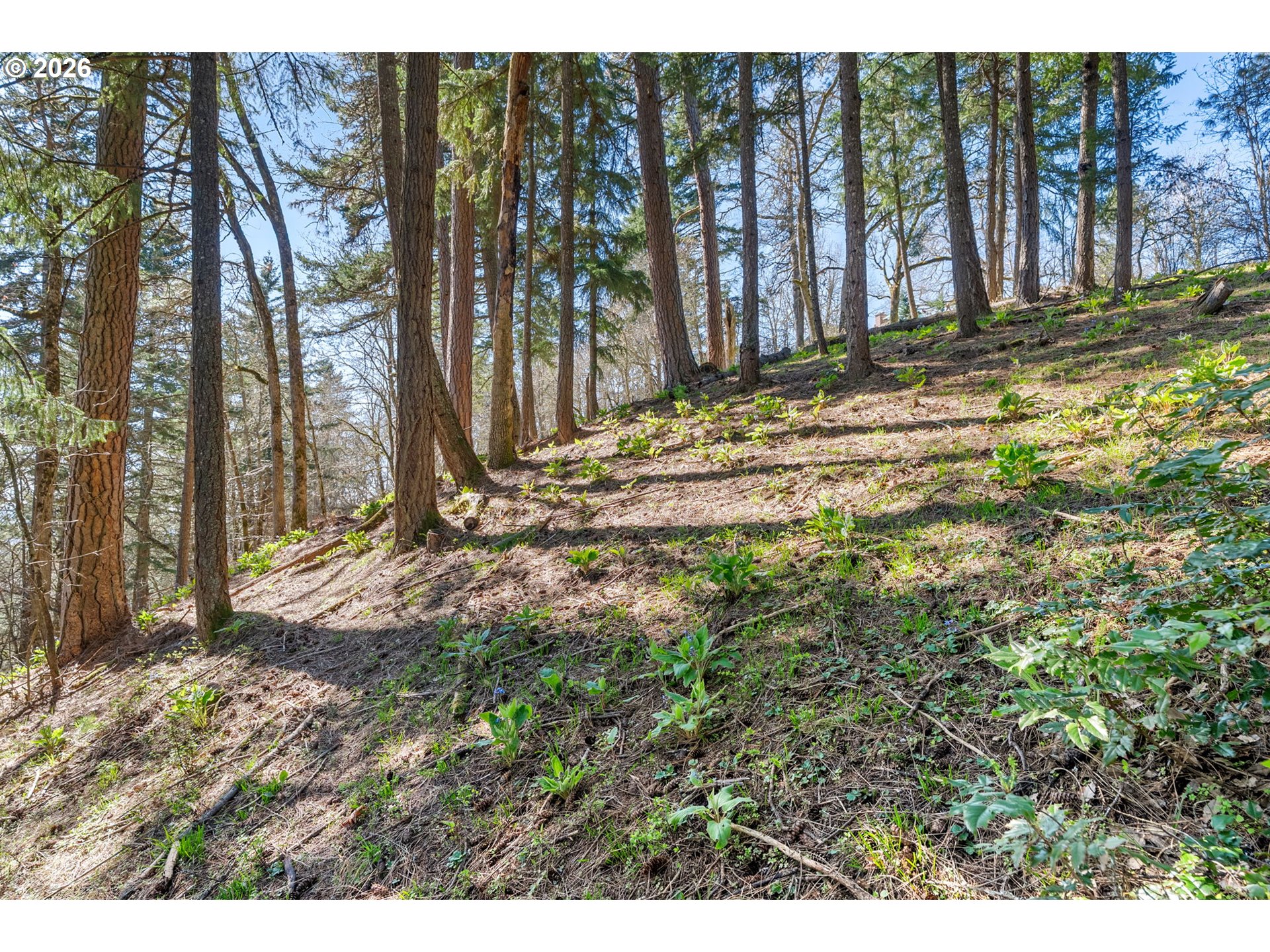 735 Northwest Strawberry Mountain Road White Salmon, WA 98672 - Photo 18 of 25 a view of backyard with green space