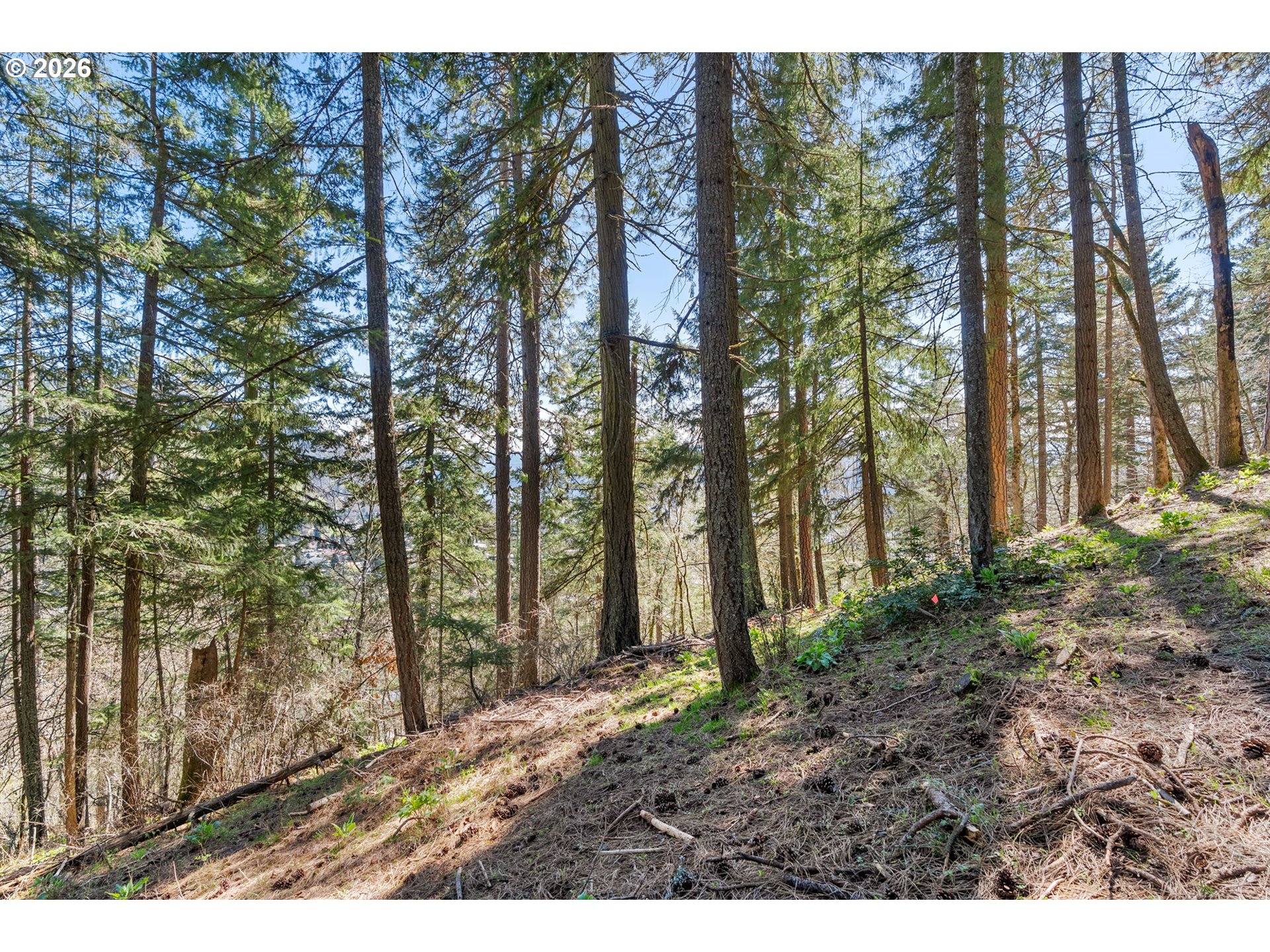 735 Northwest Strawberry Mountain Road White Salmon, WA 98672 - Photo 20 of 25 a view of outdoor space and yard