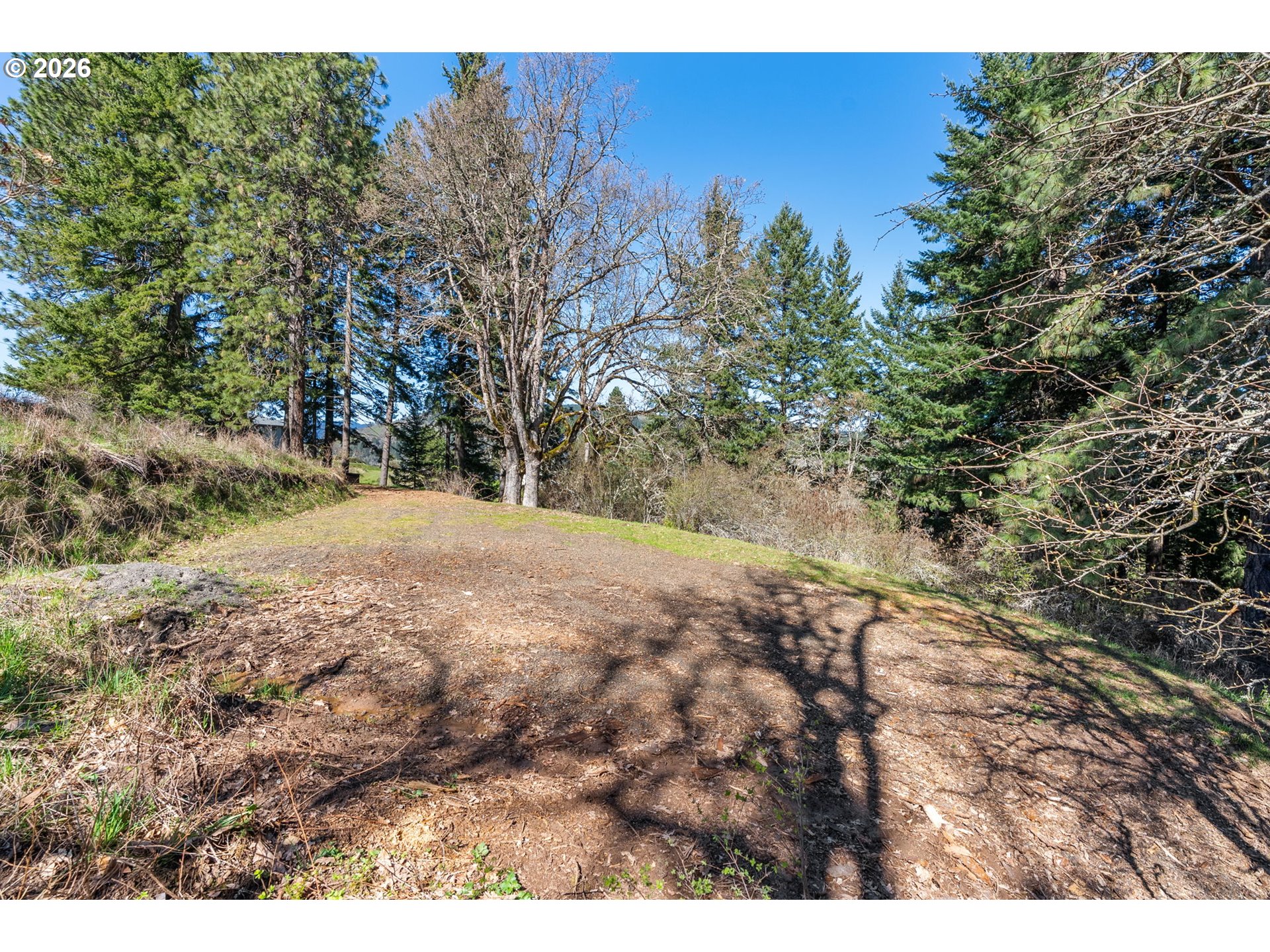 735 Northwest Strawberry Mountain Road White Salmon, WA 98672 - Photo 21 of 25 a view of a yard with trees in the background