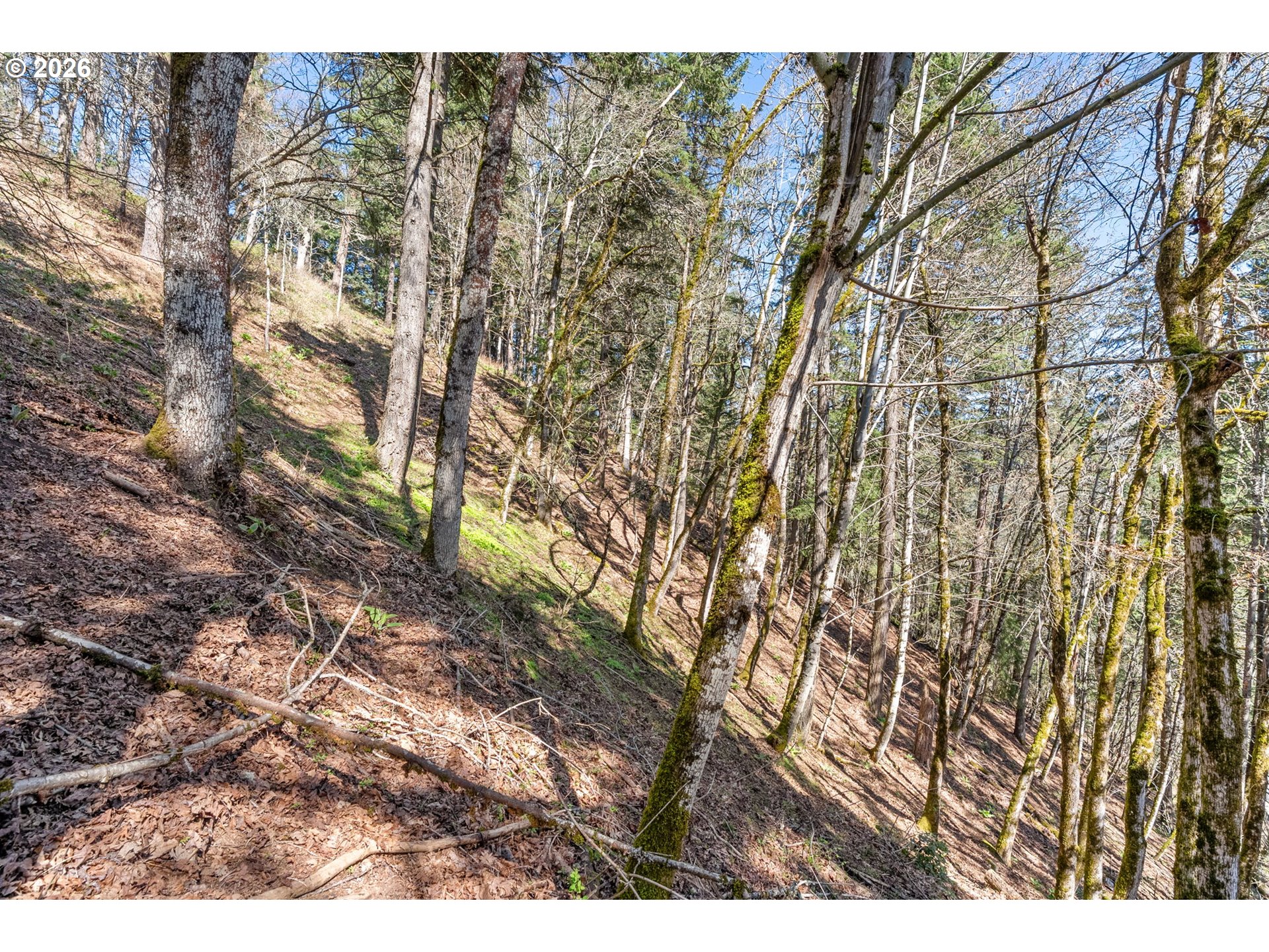 735 Northwest Strawberry Mountain Road White Salmon, WA 98672 - Photo 23 of 25 a view of outdoor space and a yard