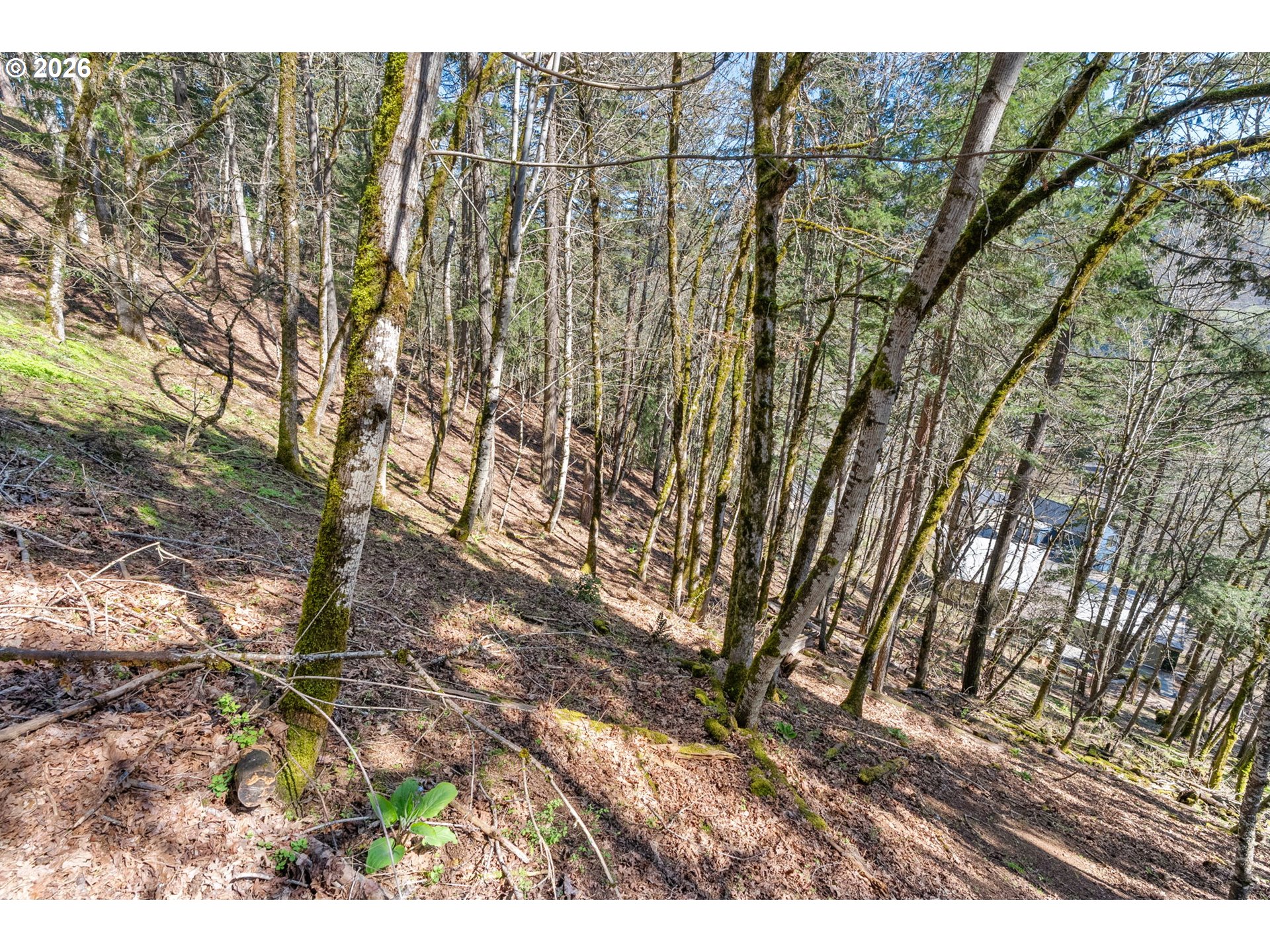 735 Northwest Strawberry Mountain Road White Salmon, WA 98672 - Photo 24 of 25 a view of outdoor space with wooden fence