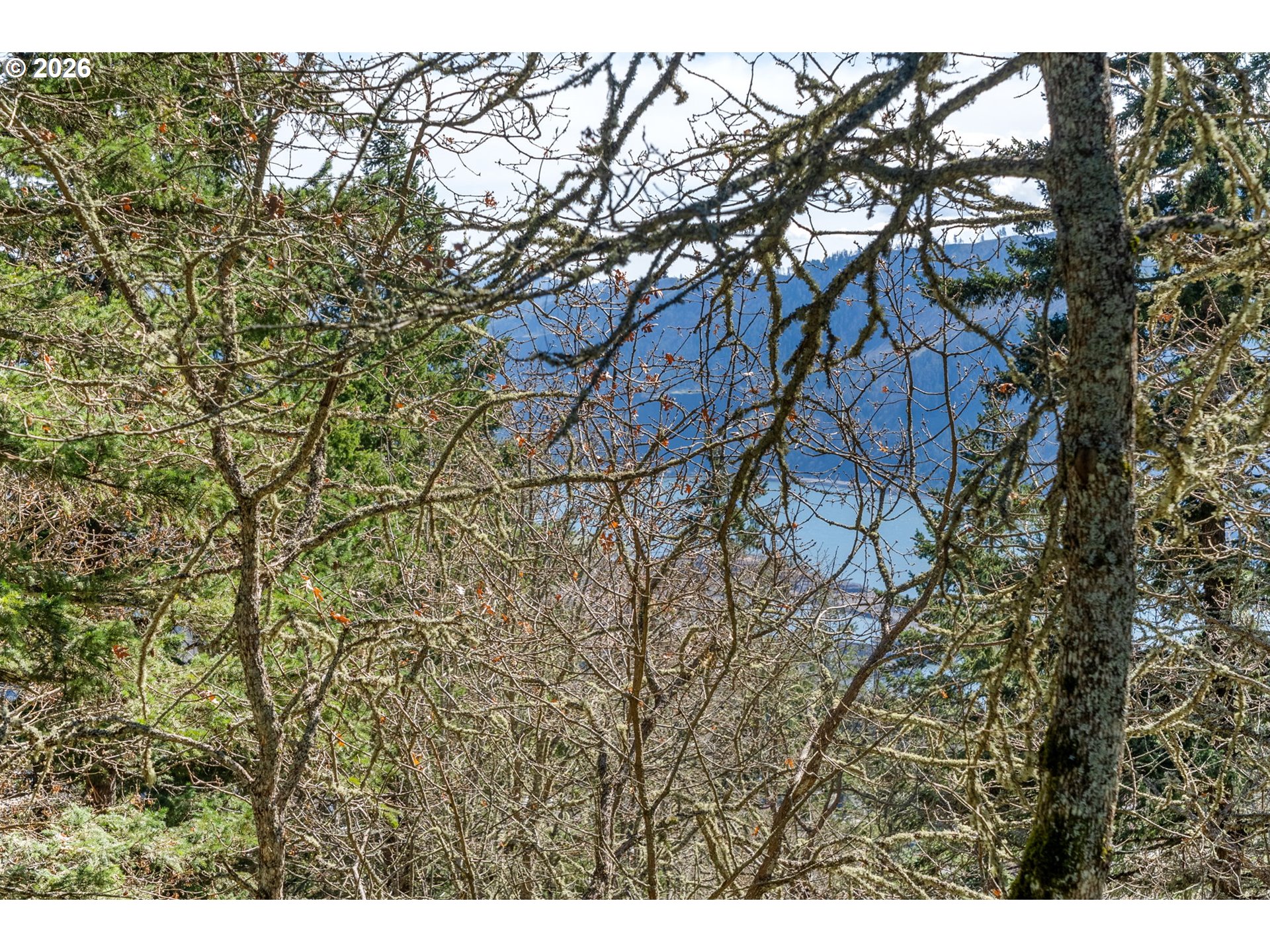 735 Northwest Strawberry Mountain Road White Salmon, WA 98672 - Photo 4 of 25 a backyard of a house with lots of trees
