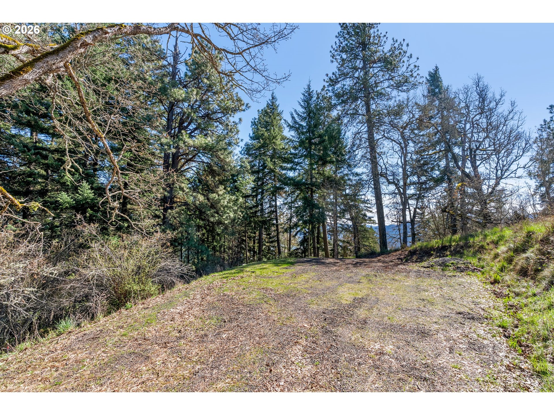 735 Northwest Strawberry Mountain Road White Salmon, WA 98672 - Photo 9 of 25 a view of a yard with a tree
