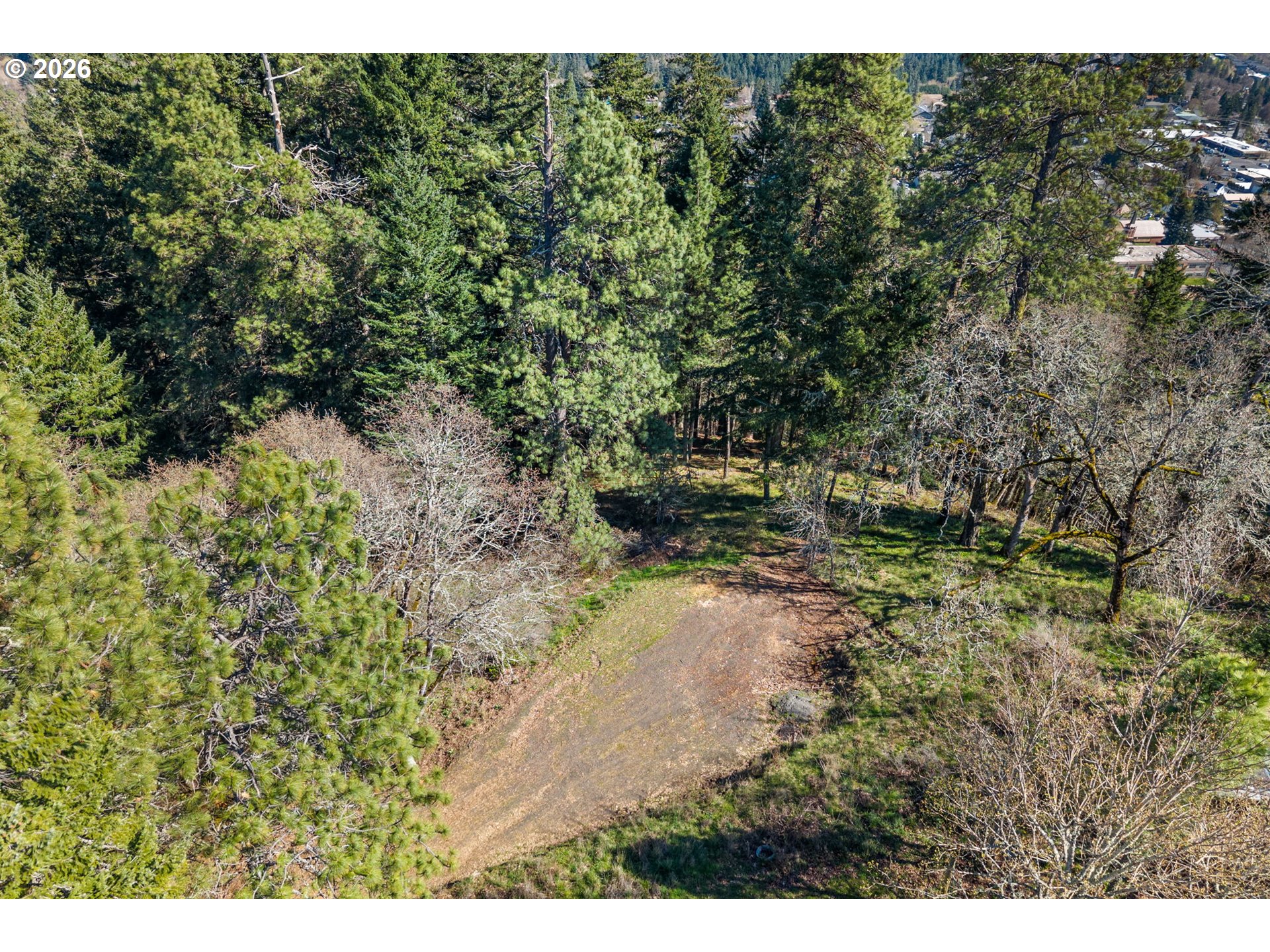 735 Northwest Strawberry Mountain Road White Salmon, WA 98672 - Photo 10 of 25 a view of a yard with a tree