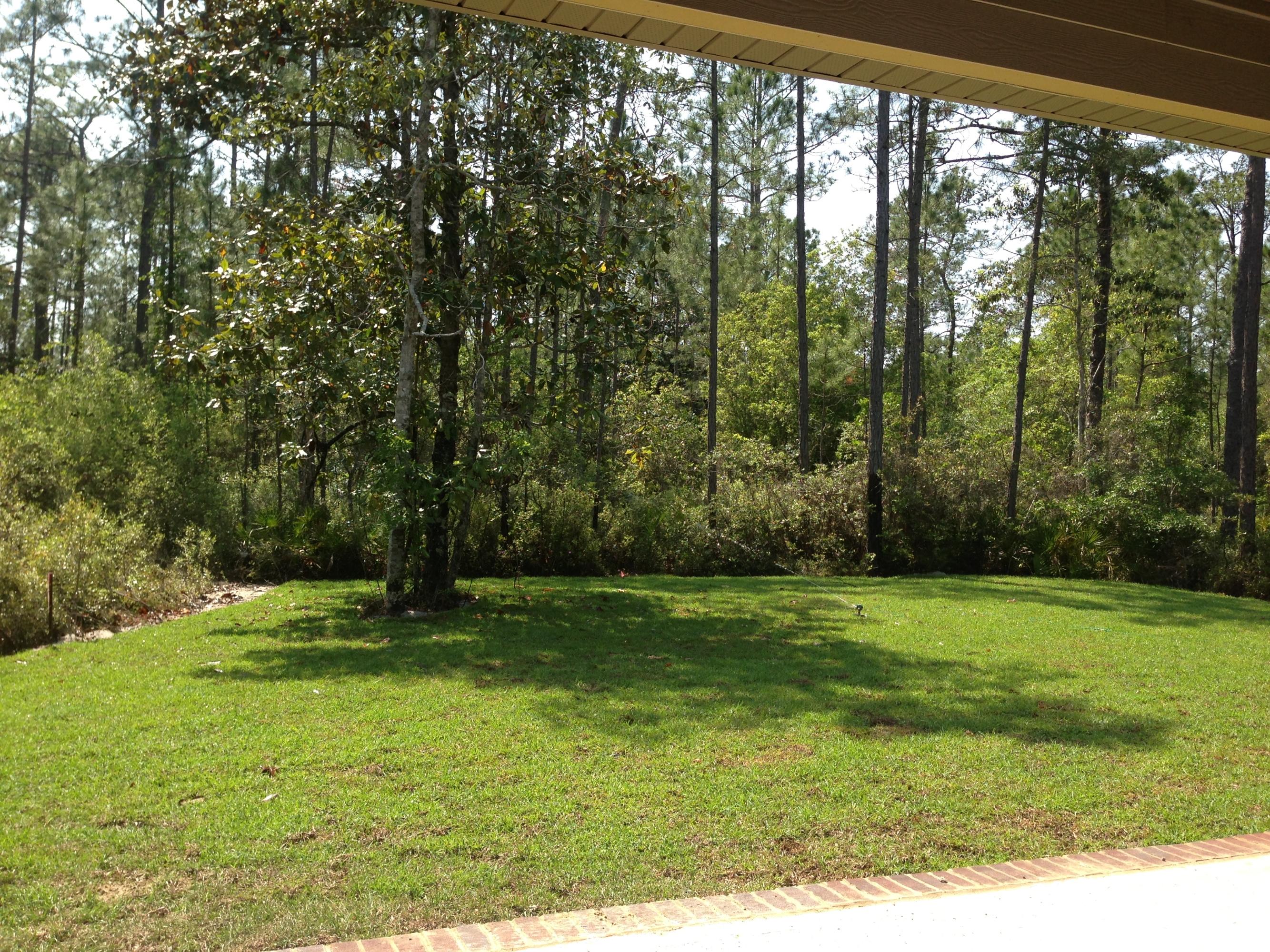 63 Aviary Lane Santa Rosa Beach, FL 32459 - Photo 3 of 3 Gallery Image 3