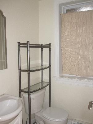 4540 West George Street, Unit 1 Chicago, IL 60641 - Photo 7 of 10 a white toilet sitting next to a shower