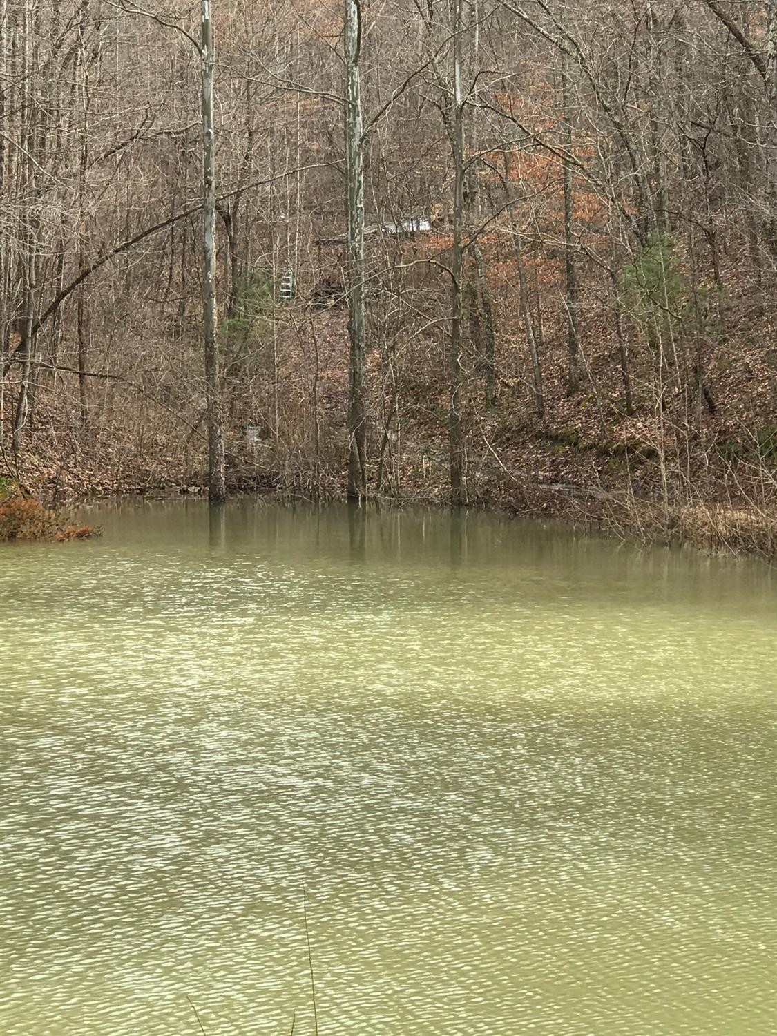 3983 Upper Gilmore Road Campton, KY 41301 - Photo 24 of 32 Photo 24