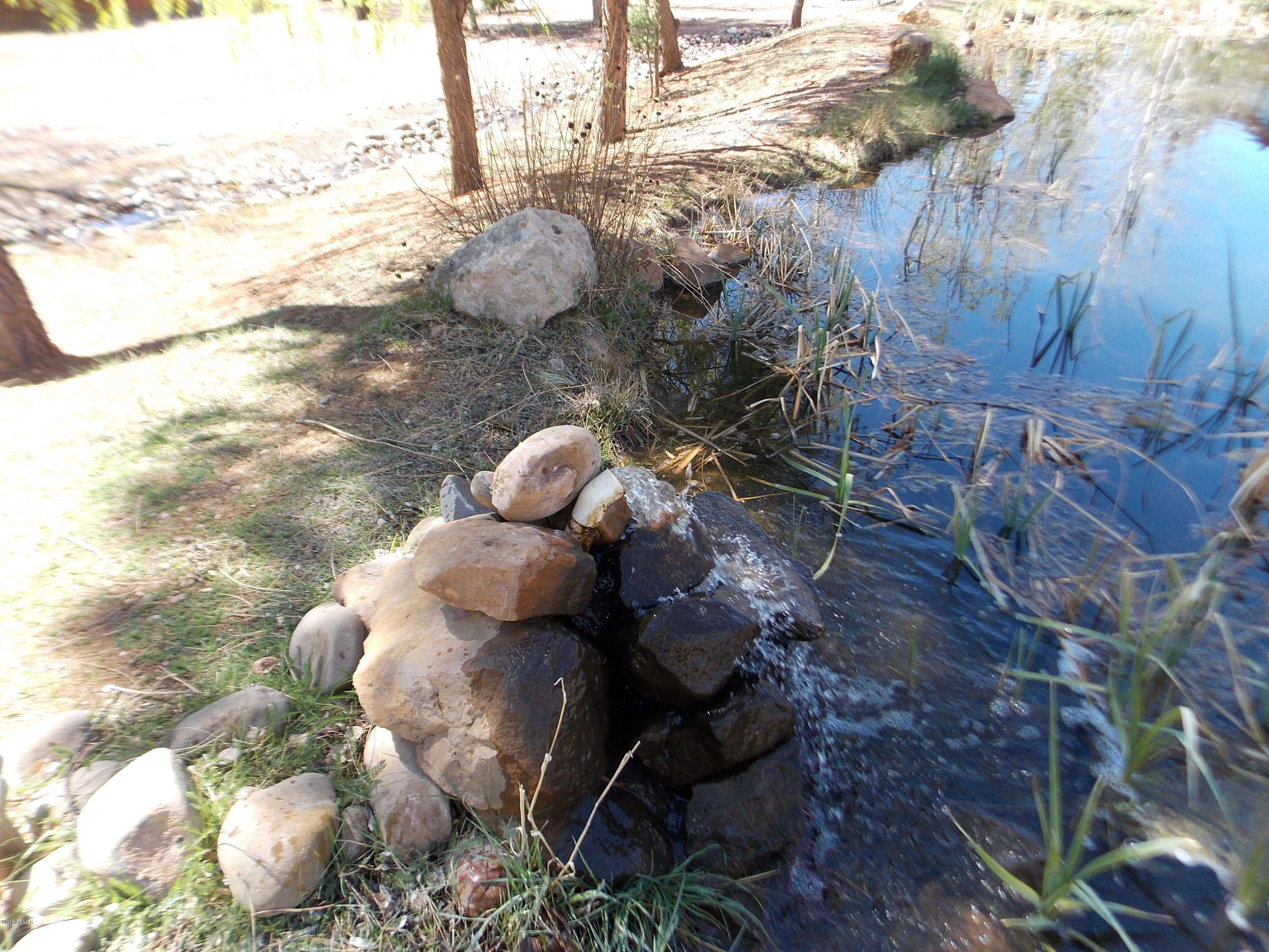 2278 Overgaard Springs Overgaard, AZ 85933 - Photo 15 of 21 DSCN9319