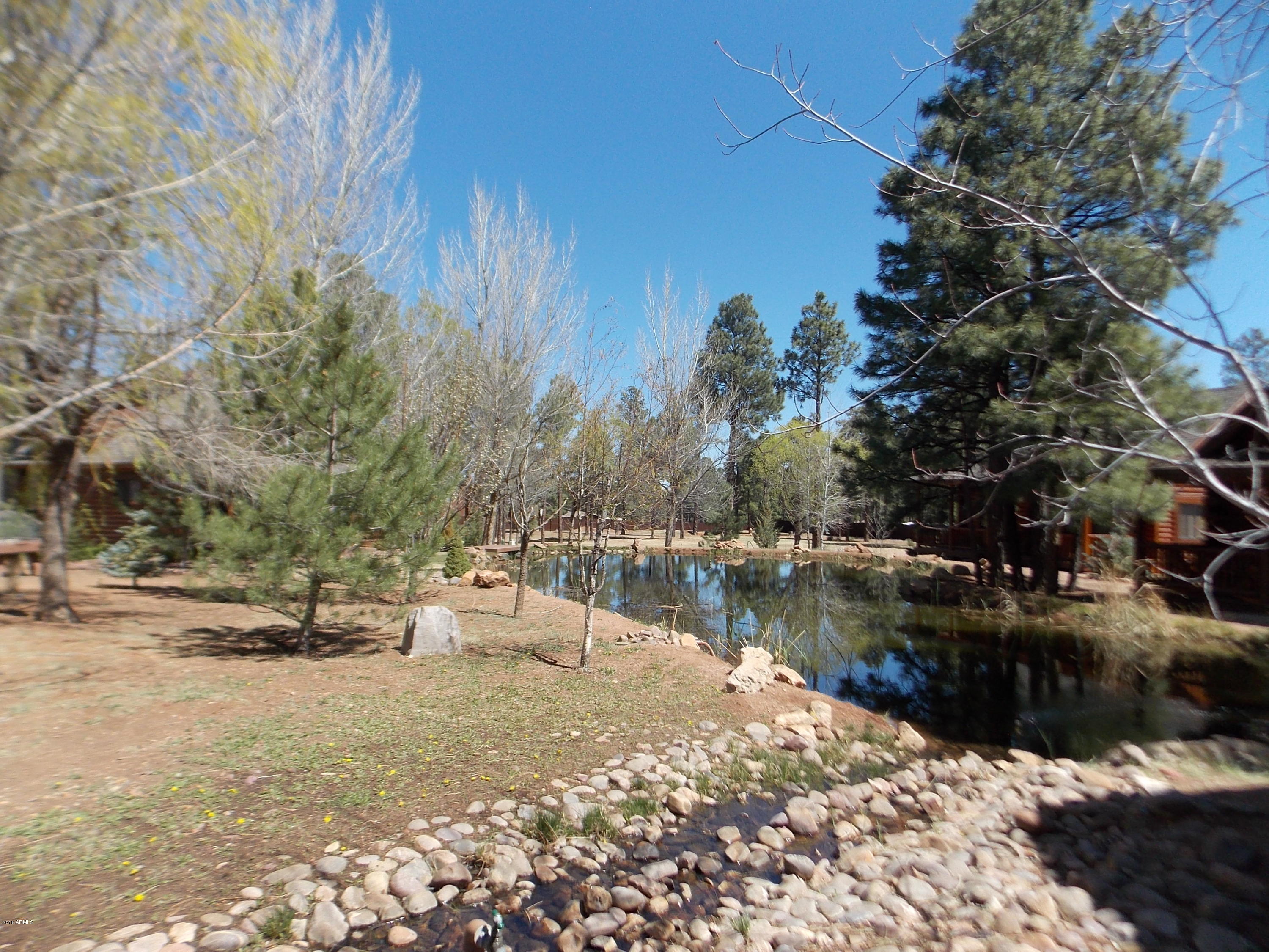 2278 Overgaard Springs Overgaard, AZ 85933 - Photo 16 of 21 DSCN9320