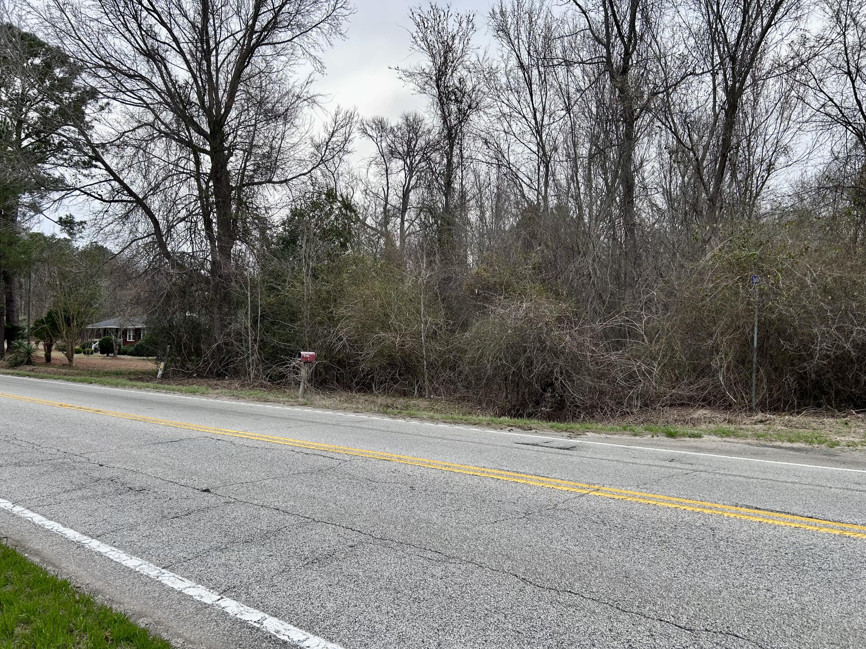 0 Camden Highway Rembert, SC 29128 - Photo 3 of 6