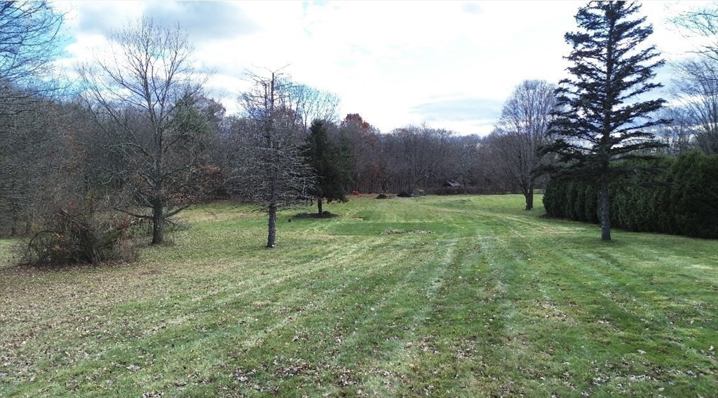 a view of a park with large trees