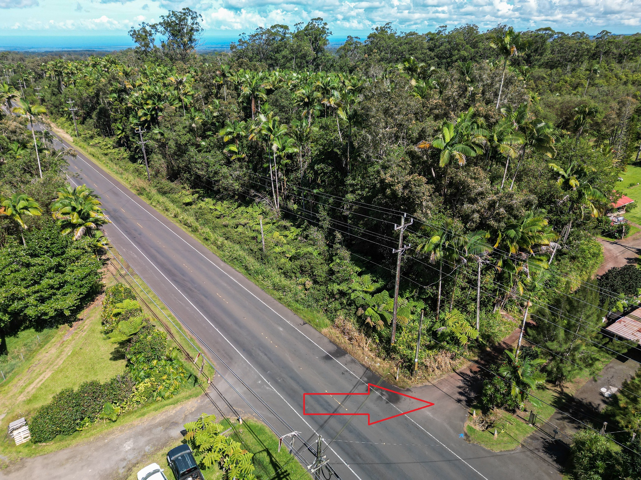 2 Volcano Road Mountain View, HI 96771 - Photo 2 of 18