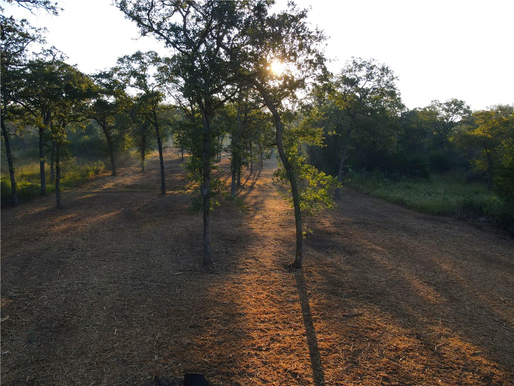 Tbd High Crossing Road, Unit 4 Smithville, TX 78957 - Photo 1 of 1 Gallery Image 1