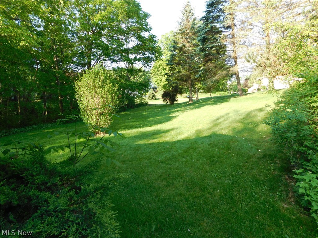 5313 Ridge Avenue Southeast Canton, OH 44707 - Photo 6 of 32 Gallery Image 6