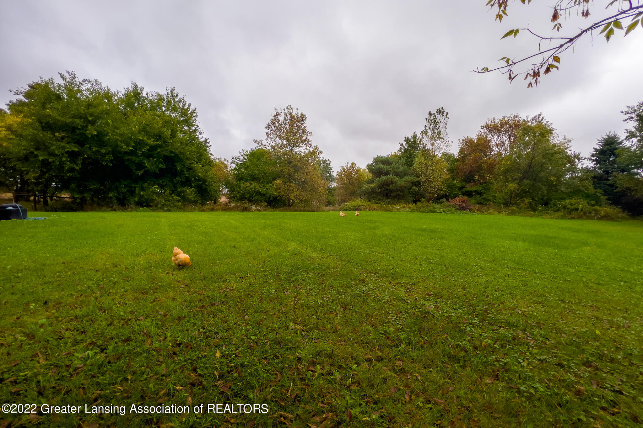 6137 Stone Road Ionia, MI 48846 - Photo 56 of 61 6137_Stone_CASSIE-56