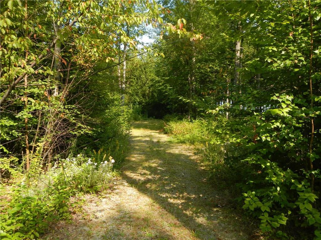 Tbd Tbd Eskutassis & Spruce Point Road Lowell, ME 04493 - Photo 4 of 23 Photo