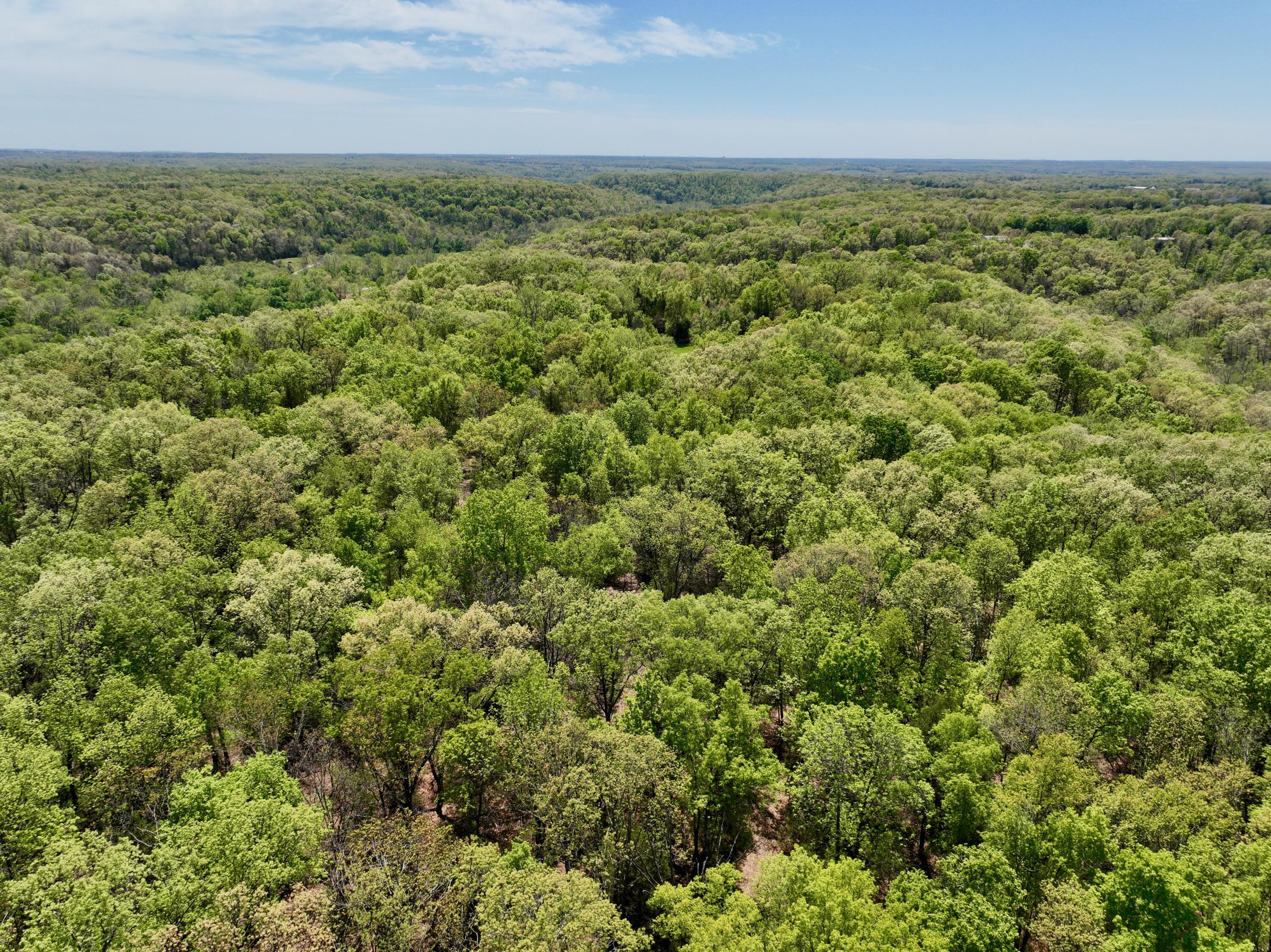 0 Corner Road Rogersville, MO 65742 - Photo 17 of 19 DJI_0455