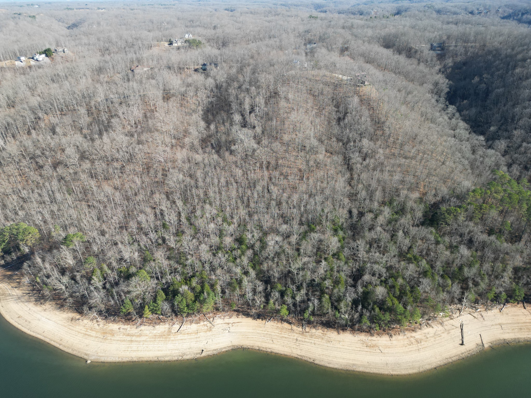 0 Bridge Pointe Lane Sparta, TN 38583 - Photo 12 of 16 a view of a wooden floor