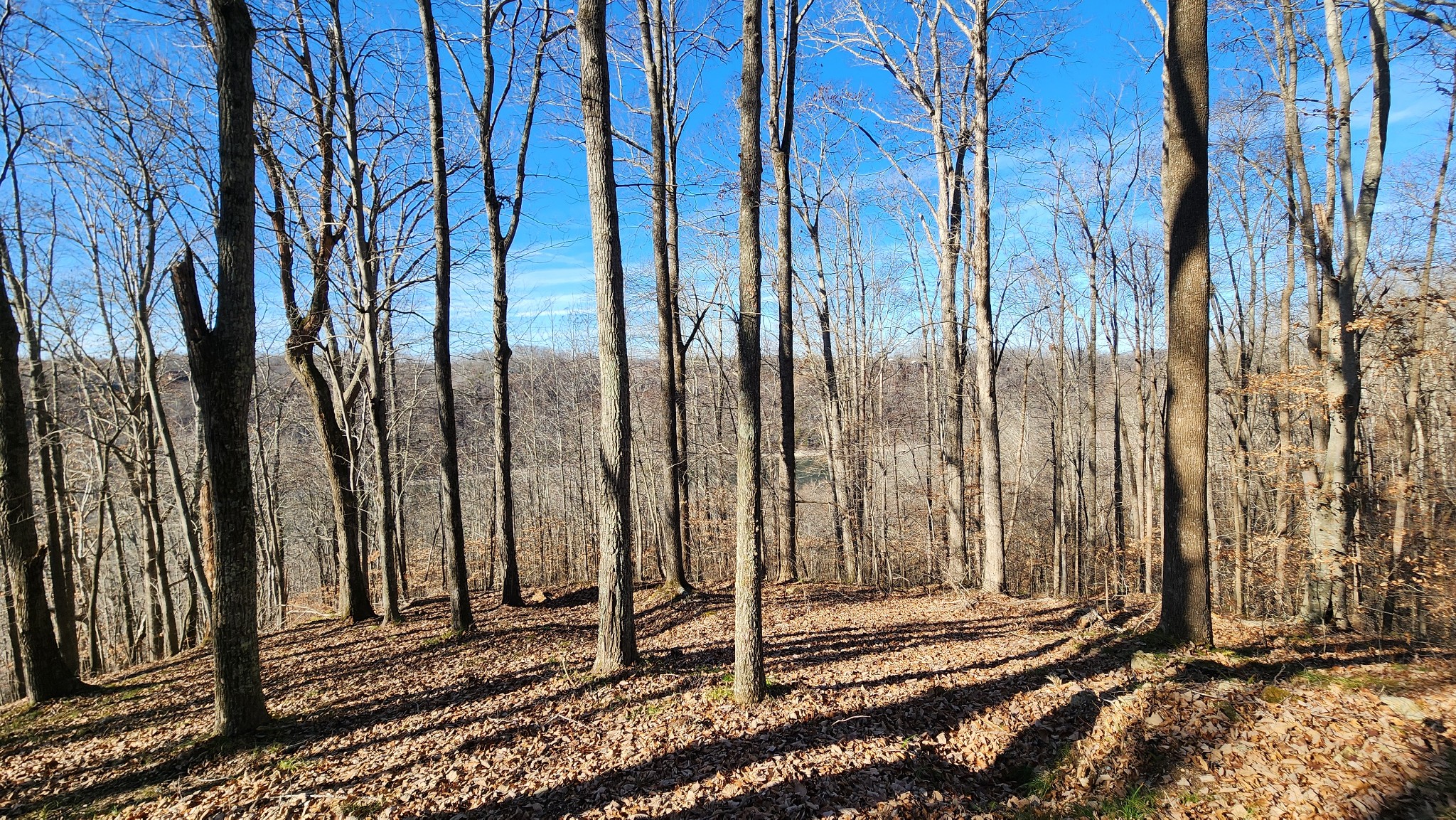 0 Bridge Pointe Lane Sparta, TN 38583 - Photo 4 of 16 a view of a entryway with a yard