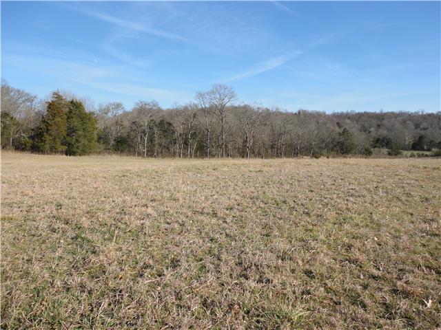 0 Blanche Road Ardmore, TN 38449 - Photo 5 of 7