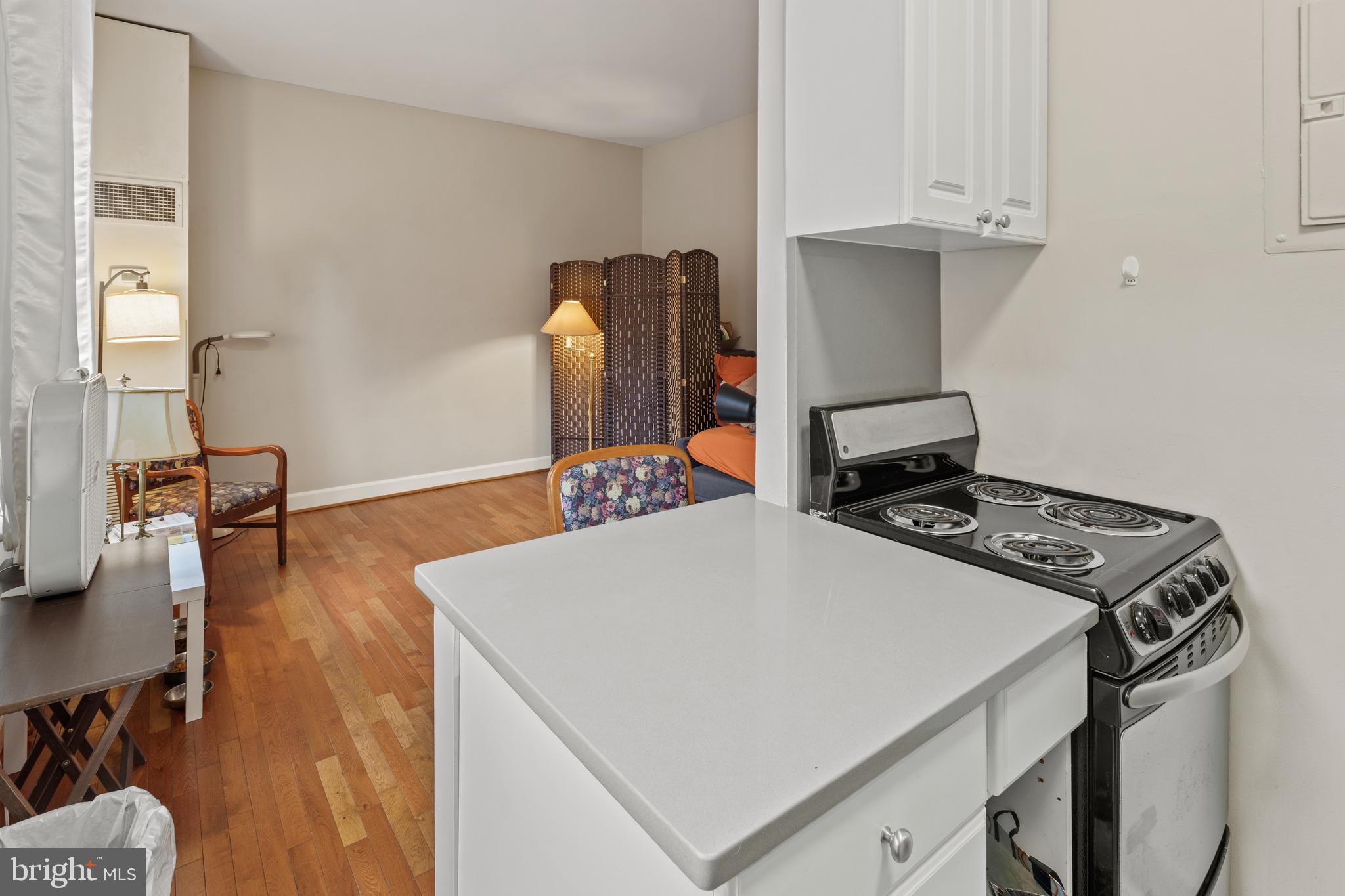 333 2nd Street Northeast, Unit 303 Washington, DC 20002 - Photo 6 of 18