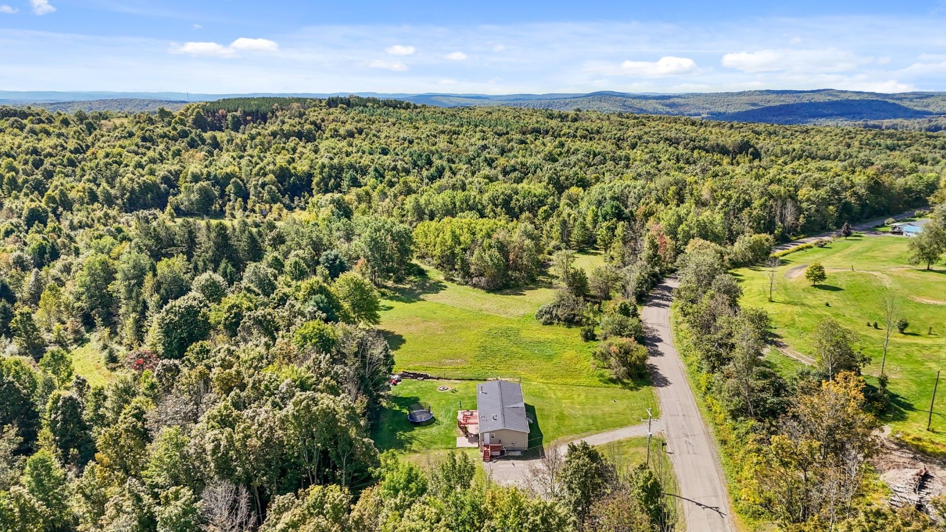 1000 Russell Road Newark Valley, NY 13811 - Photo 7 of 43