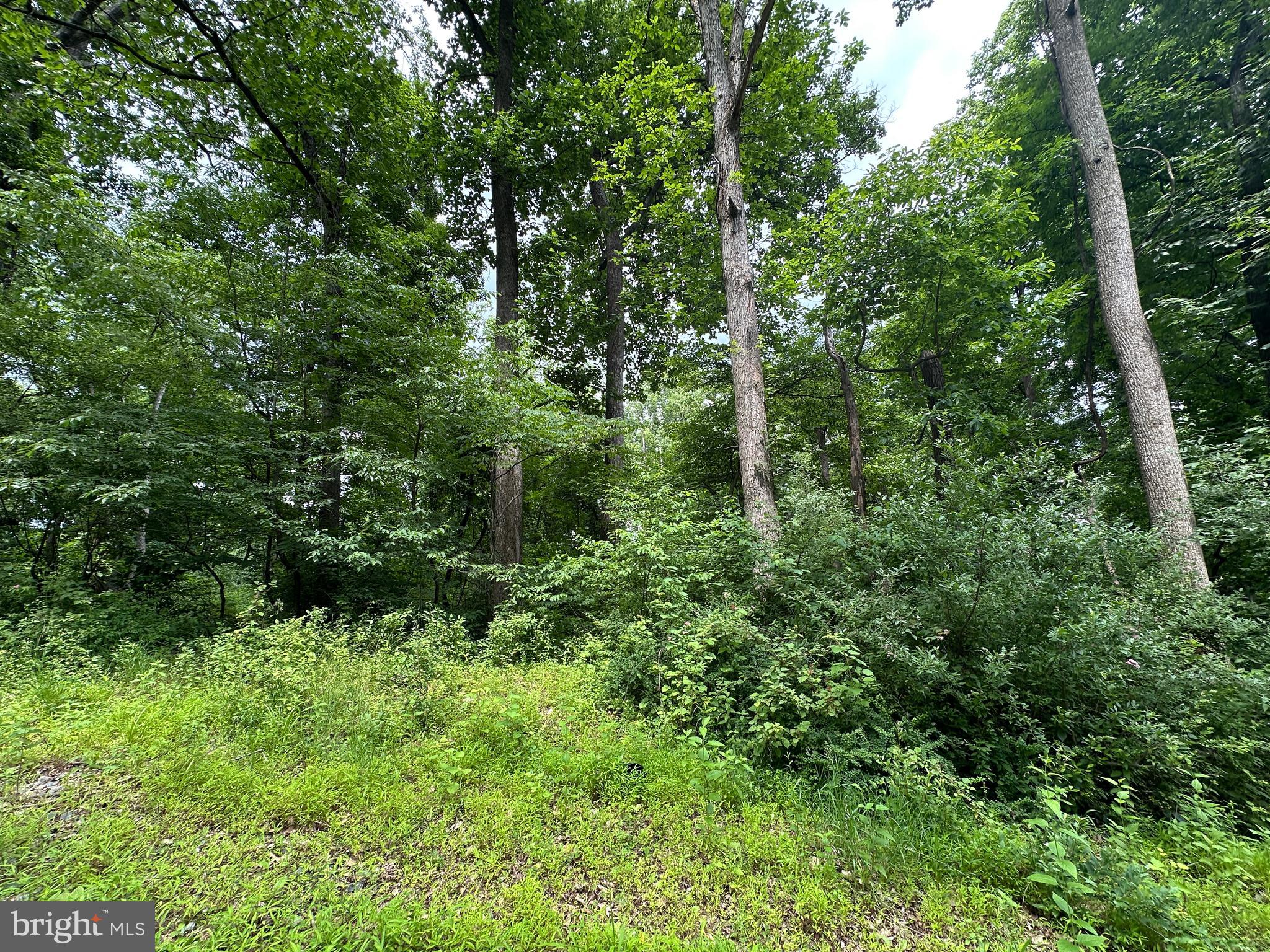 3 52 /- Acres Oak Ridge Trail Fairfield, PA 17320 - Photo 8 of 13