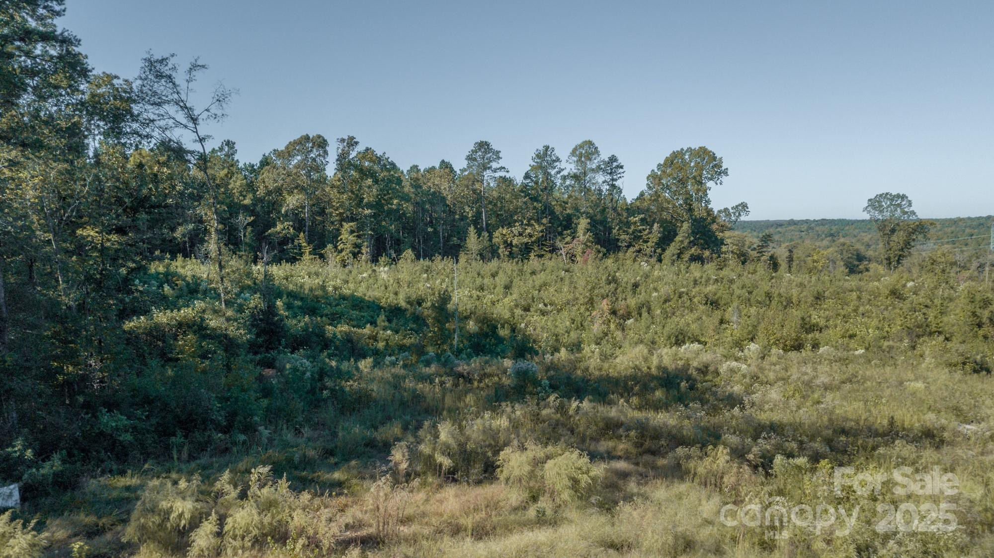 1339 Liberty Road Chester, SC 29706 - Photo 25 of 29