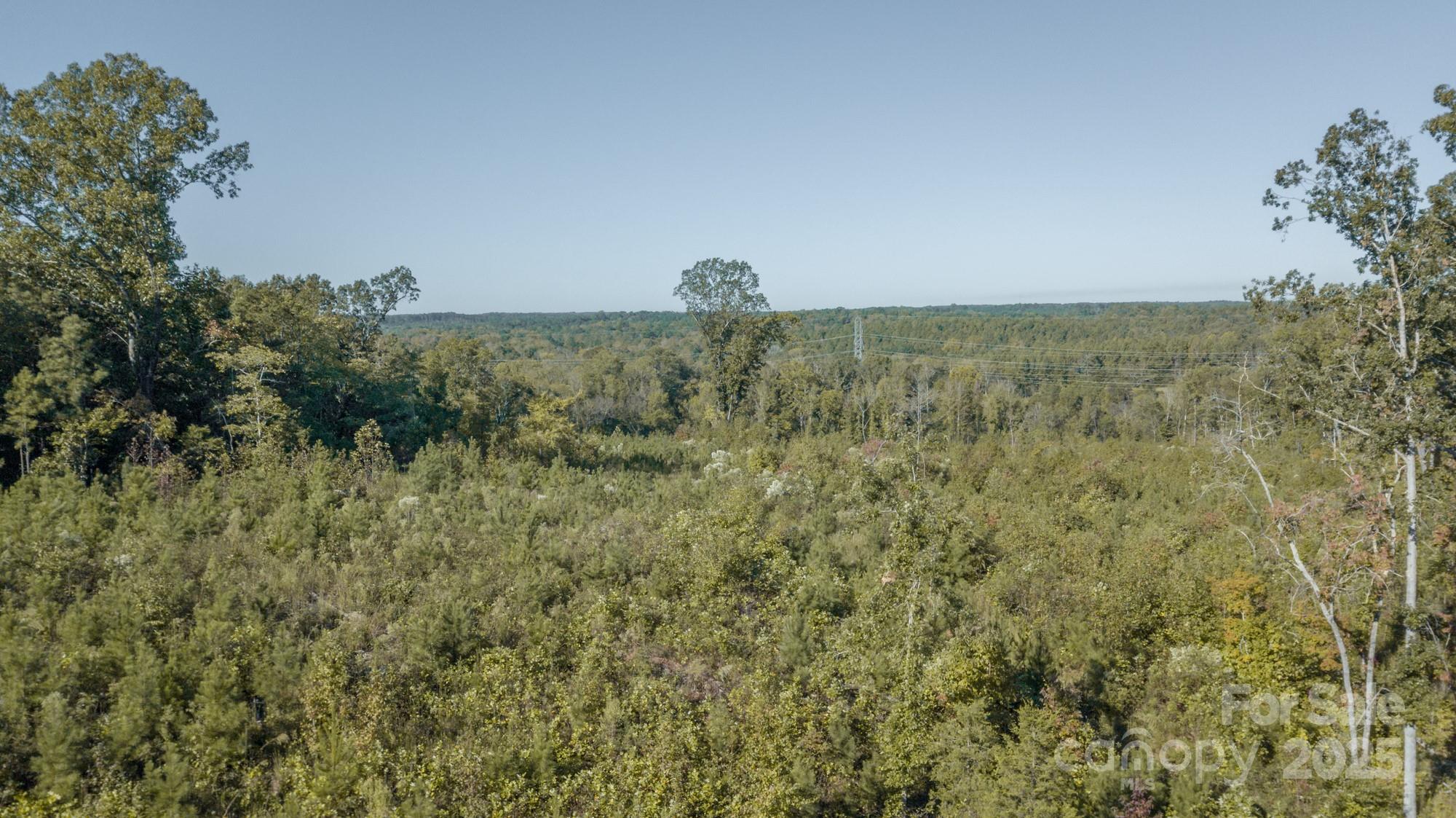 1339 Liberty Road Chester, SC 29706 - Photo 26 of 29