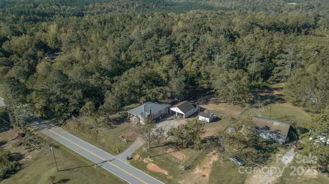 a view of a tree with a yard