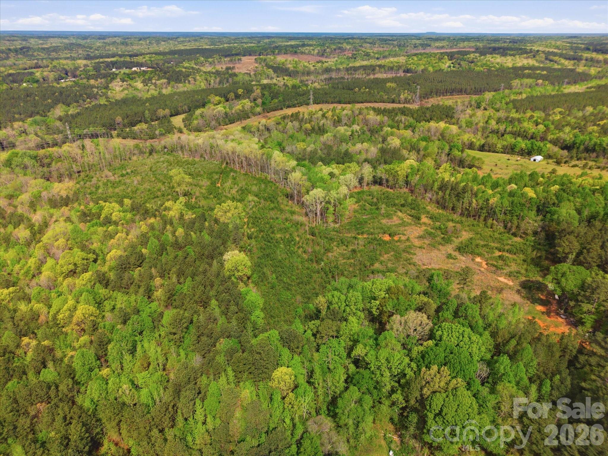 1339 Liberty Road Chester, SC 29706 - Photo 30 of 32
