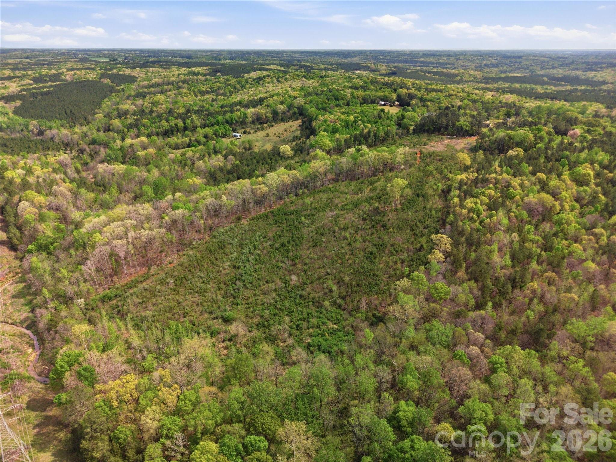 1339 Liberty Road Chester, SC 29706 - Photo 31 of 32