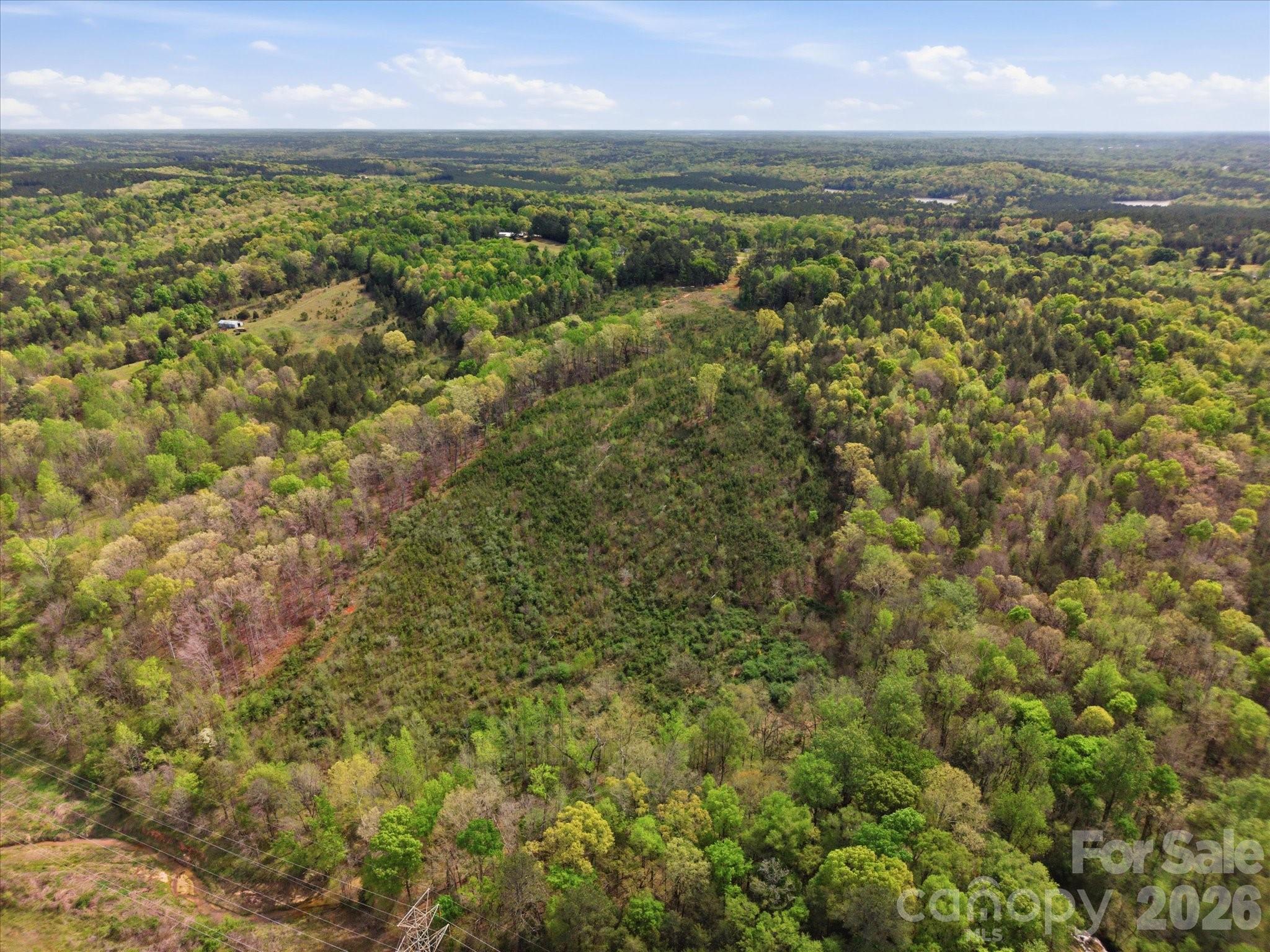 1339 Liberty Road Chester, SC 29706 - Photo 32 of 32