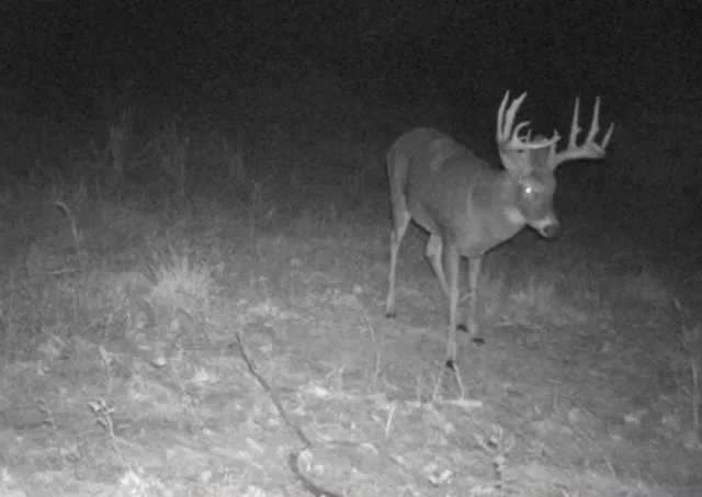 $1,820,000 | W10415 521st Avenue, Prescott, WI 54021