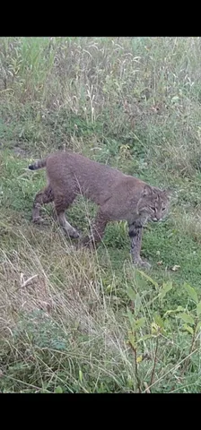 $1,820,000 | W10415 521st Avenue, Prescott, WI 54021