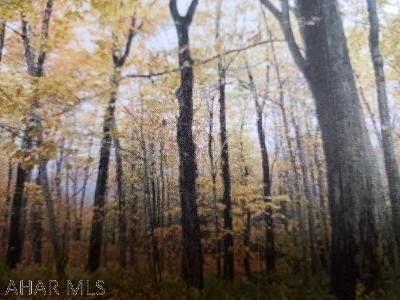 193 L Ridge Run Road Everett, PA 15537 - Photo 2 of 6