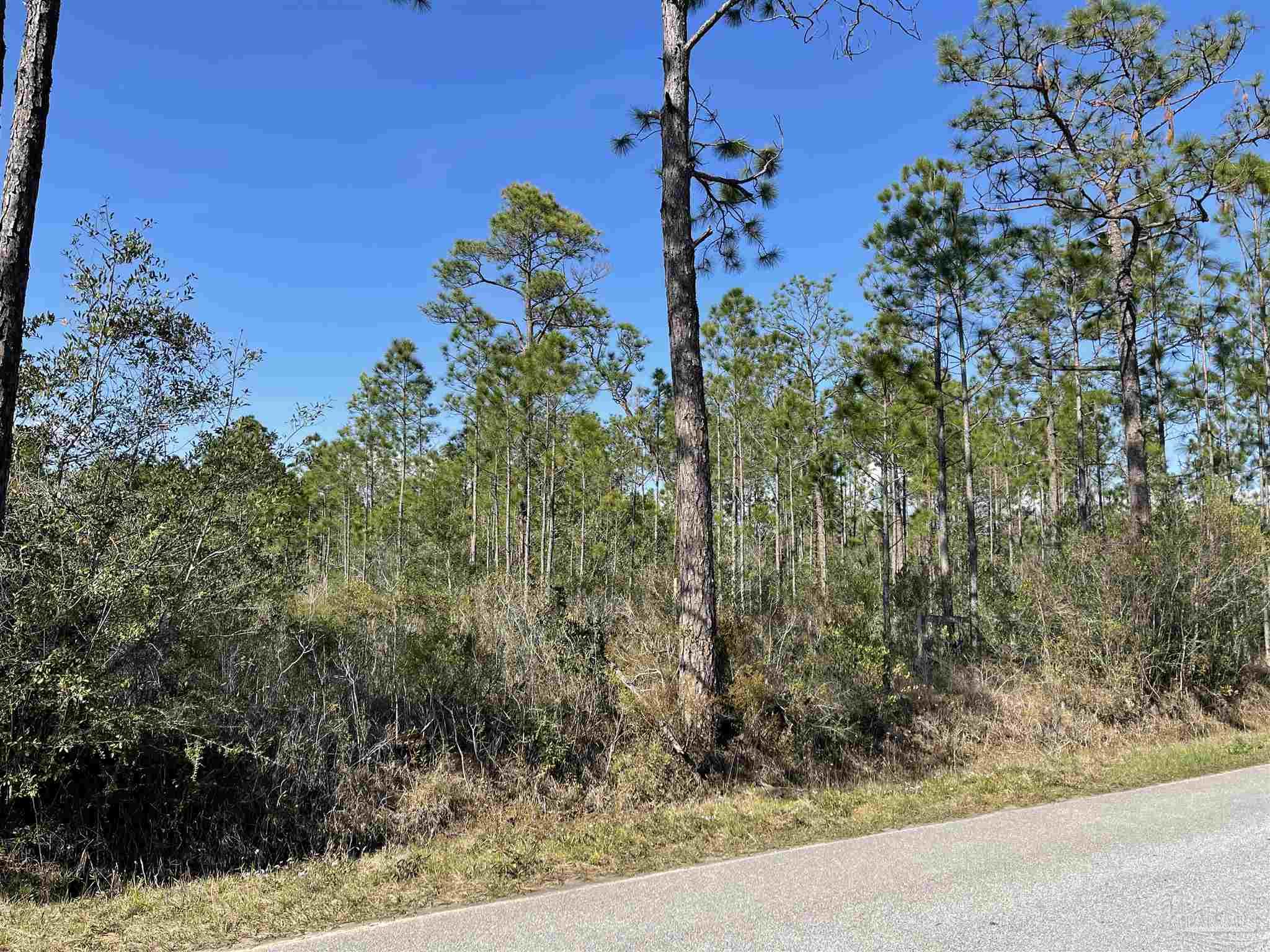 5.92-ac Mary Kitchens Road Milton, FL 32583 - Photo 2 of 5 Gallery Image 2