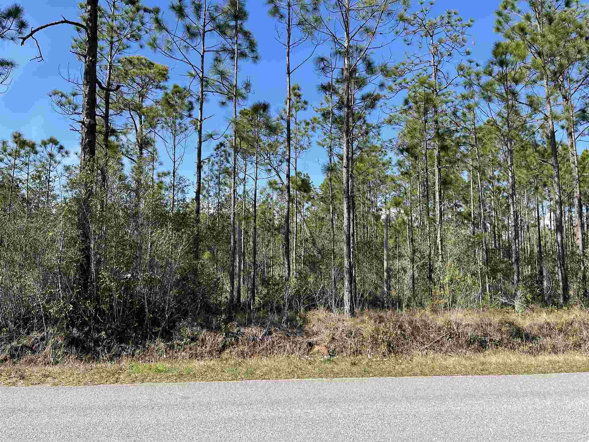 5.92-ac Mary Kitchens Road Milton, FL 32583 - Photo 3 of 5 Gallery Image 3