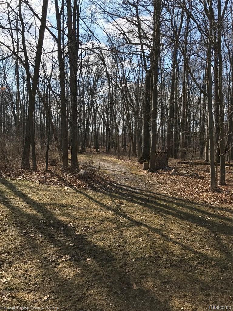 467 Gulley Road Howell, MI 48843 - Photo 5 of 42 1998A6D8-BA62-4041-B5B5-177CAB9C2C65.JPG