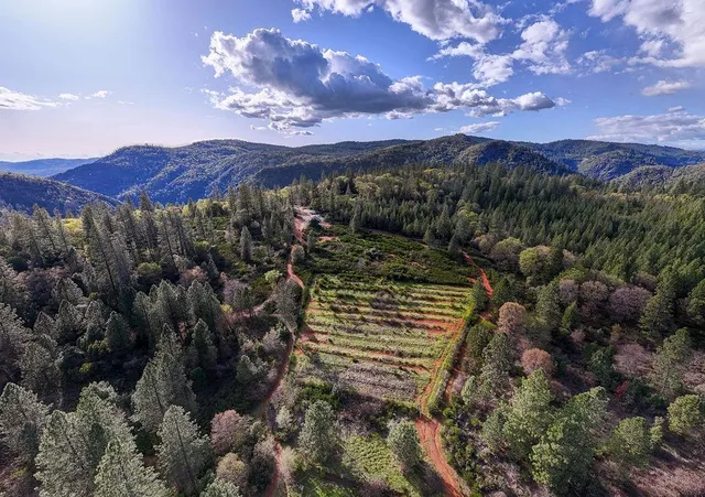 $349,000 | 10571 Sebastopol Road, North San Juan, CA 95960