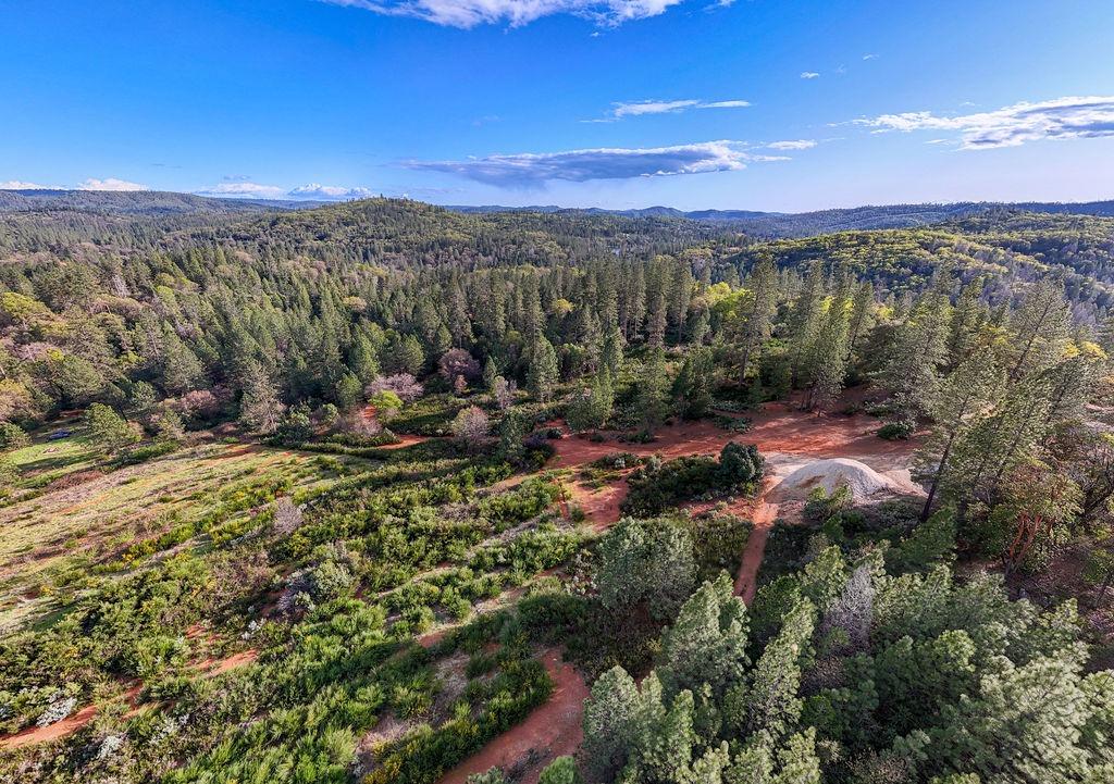 10571 Sebastopol Road North San Juan, CA 95960 - Photo 11 of 49