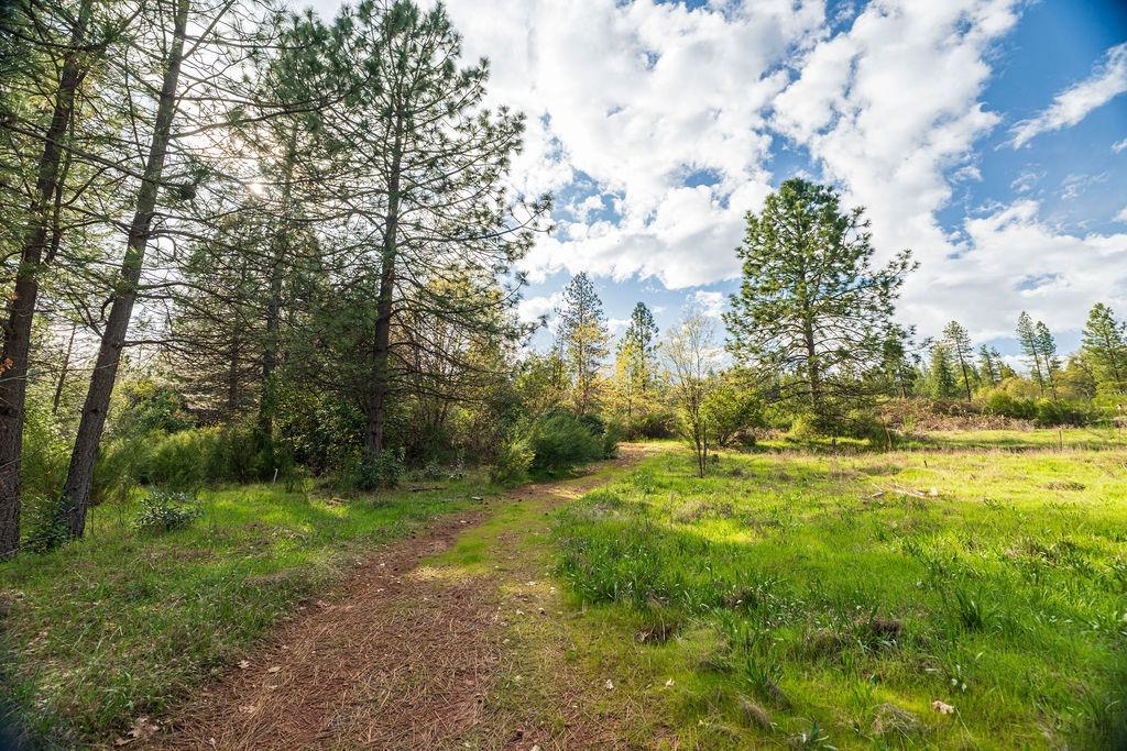 10571 Sebastopol Road North San Juan, CA 95960 - Photo 17 of 49