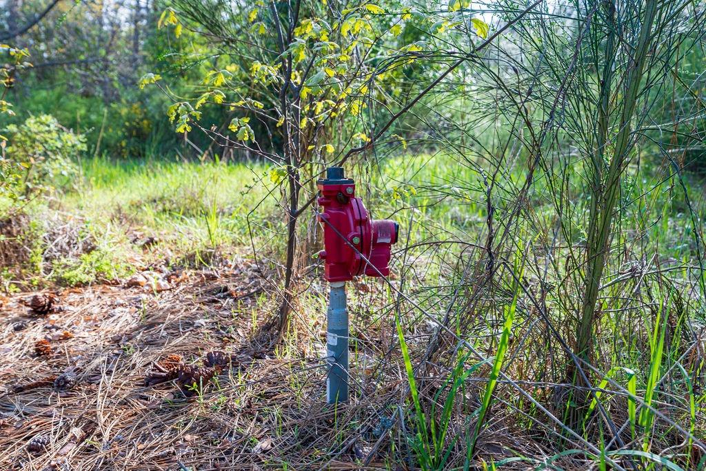 10571 Sebastopol Road North San Juan, CA 95960 - Photo 19 of 49
