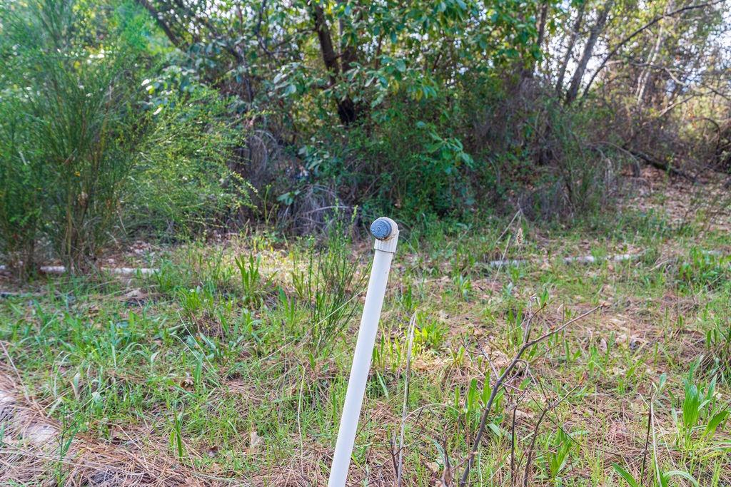 10571 Sebastopol Road North San Juan, CA 95960 - Photo 20 of 49