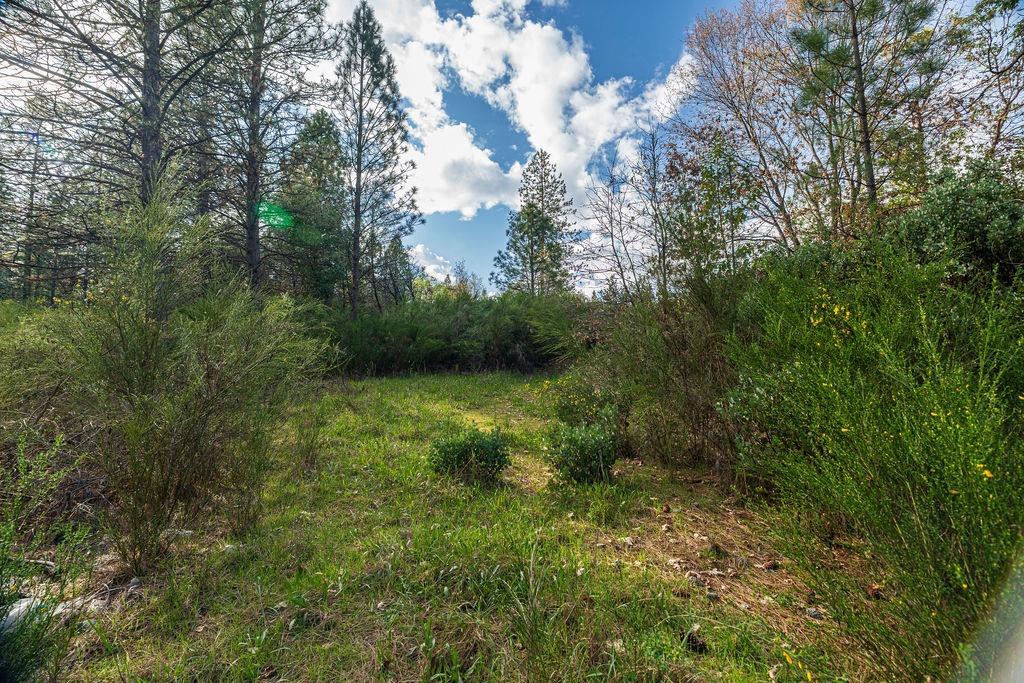 10571 Sebastopol Road North San Juan, CA 95960 - Photo 21 of 49